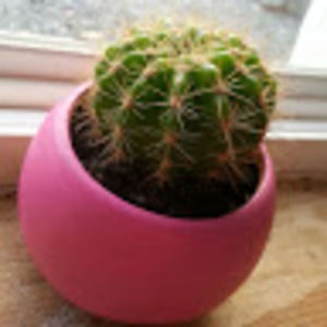 Meet your Posher, Christine